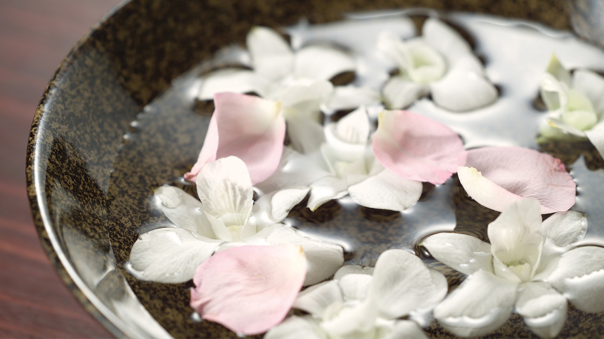 cd-chuan-philosophy-header